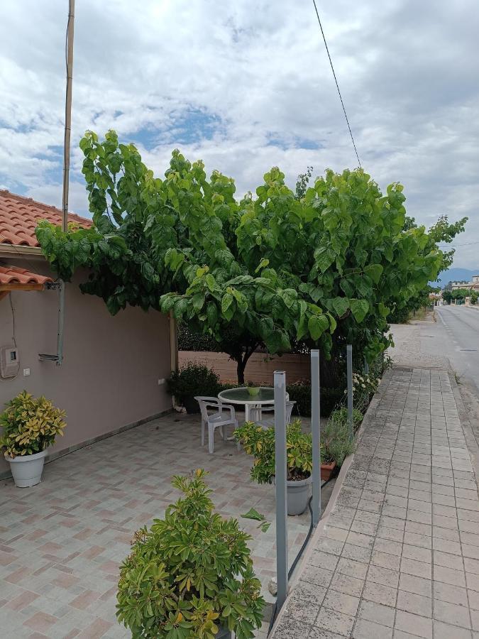 Chrysa'S House Apartment Aígion Ngoại thất bức ảnh